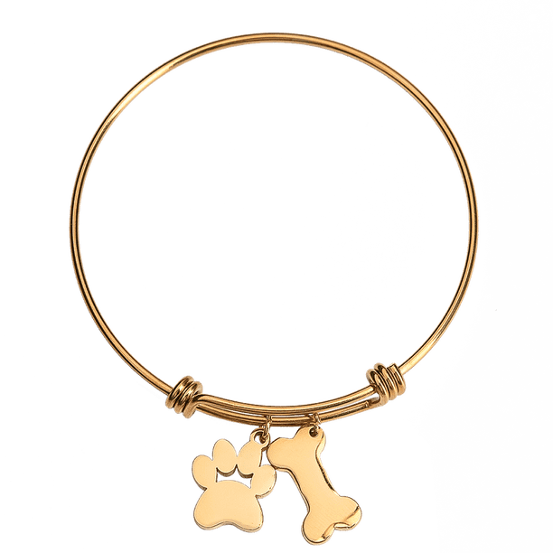 Collar para Mujer con Dije de Huella de Perro LuckyLy, Acero Inoxidable, Modelo Canny dorado UNITALLA