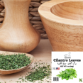 thumbnail image 4 of Eleganceinlife Cilantro Leaves 3 oz Packed in USA Halal Kosher Pack of 1, 4 of 4