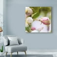 thumbnail image 3 of Trademark Fine Art 'Apple Blossom I' Canvas Art by Open Journey, 3 of 4