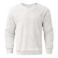 thumbnail image 4 of LIIPEE Men Sweatshirts Solid Color Long Sleeve Round Neck Plush Pullover Hoodless Sweatshirt Male Trendy Vacation Sweatshirts,White,Xl, 4 of 5