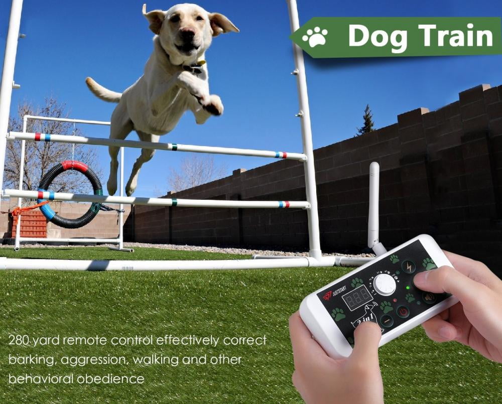 walmart pet containment