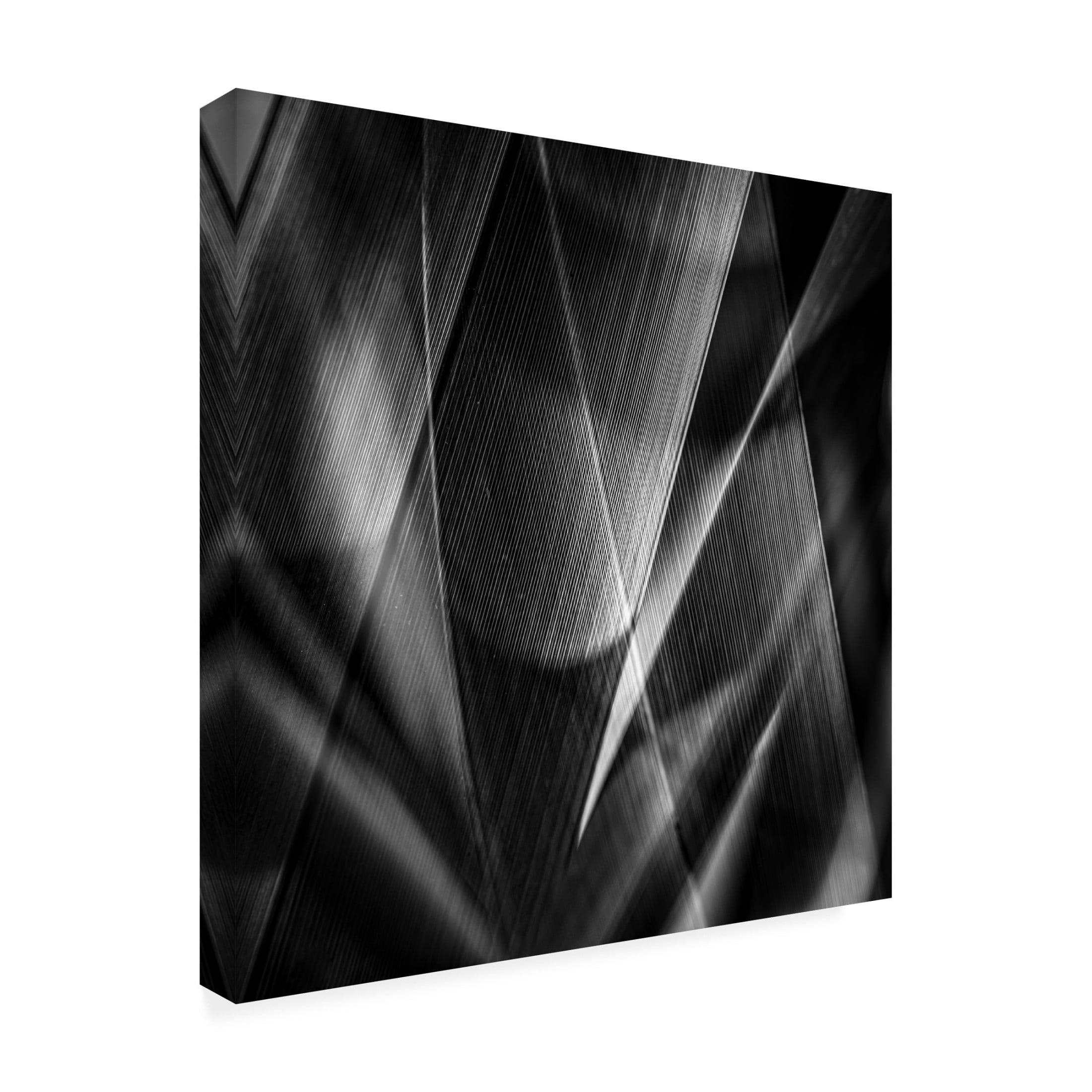 Trademark Fine Art Simon JG Ciappara Shadows a edges ab Canvas Wall Art