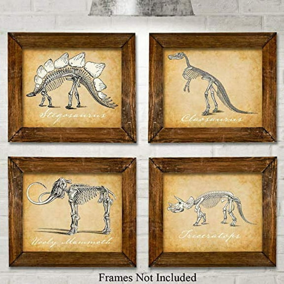 Original Dinosaurs Art Prints - Set of Four Photos (8x10) Unframed - Great for Boy's Room Decor