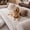 White, variant on Nalqet 27.6×47.2 inch Plush Sofa Slipcovers for 2 Cushion Couches – Washable Fuzzy Non Slip Furniture Protector Couch Cover for Pets and Dogs Cats, Coffee
