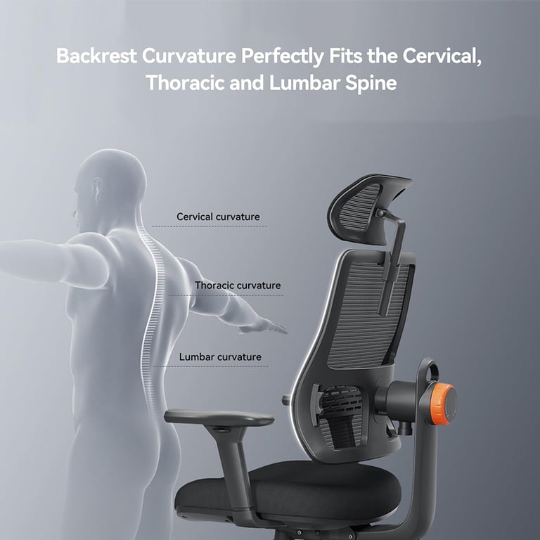 Newtral Magic H003 Ergonomic Office Chair with Lumbar Support, 3D
