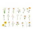 thumbnail image 1 of CAROOTU Sticker Scrapbooking Supplies Beautiful Adhesive Decorative Sticker For Gift Packaging Notebooks, 1 of 6
