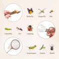 thumbnail image 2 of Bug Catcher Kit ibwaae Explorer con lupa y red, 2 of 9