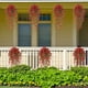 thumbnail image 3 of Violetas artificiales, 4pcs, colgantes de pared, Verdes, Eucaliptos, Rojo, 3 of 6
