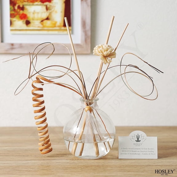 Hosley Glass Reed Diffuser Bottle with Decorative Reeds & Curly Willow, 100mL Clear Aromatherapy Vase for Home Decor, Spa, and Gifting (Fragrance Oil Not Included)