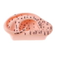 thumbnail image 1 of Modelo de oído de 13 CM con reflexología de acupuntura para visualización de estudios de laboratorio, 1 of 8