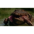 thumbnail image 3 of Killer Crocodile (Limited Edition) (Blu-ray), 3 of 6