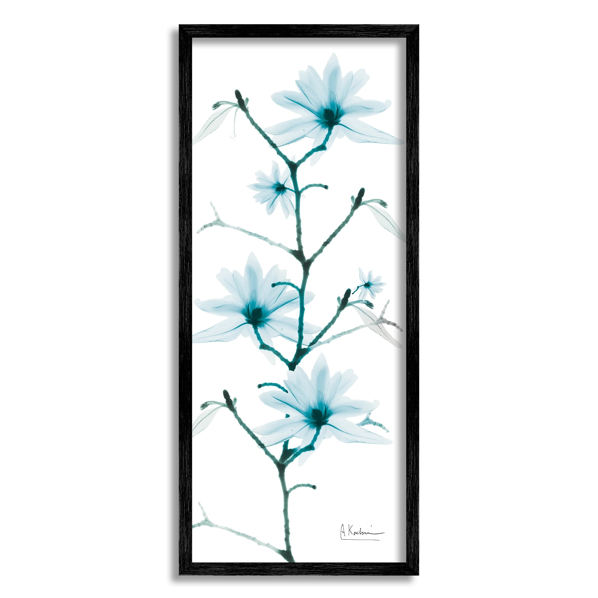 Stupell Industries Blue Tree Blossom Florals Translucent Plant Botanical & Floral Photography White Framed Art Print Wall Art, 10 x 24