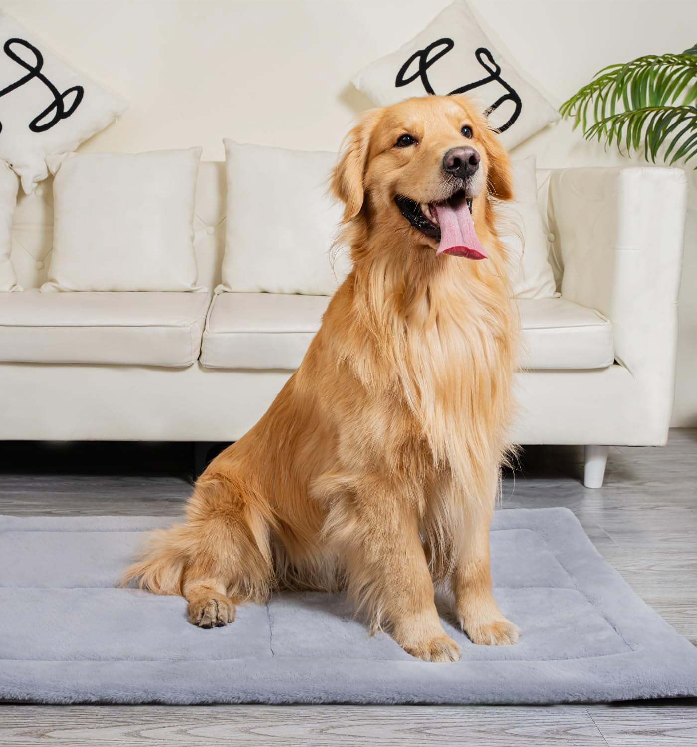 Made4pets Washable Dog Bed for Size Dogs, Reversible Foam Floor Dog Mat, 24*18, Gray