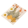 thumbnail image 1 of Last Chance Qaailabf Dried And Embossed Flowers For Resin Kit Candles And Crafts, 1 of 1