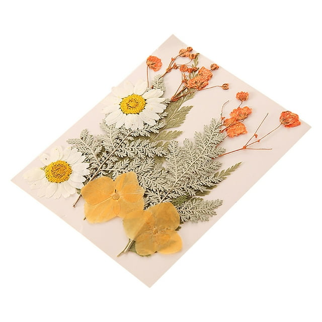 ZZwxWA Up to 45% Off Dried And Embossed Flowers For Resin Kit Candles And Crafts