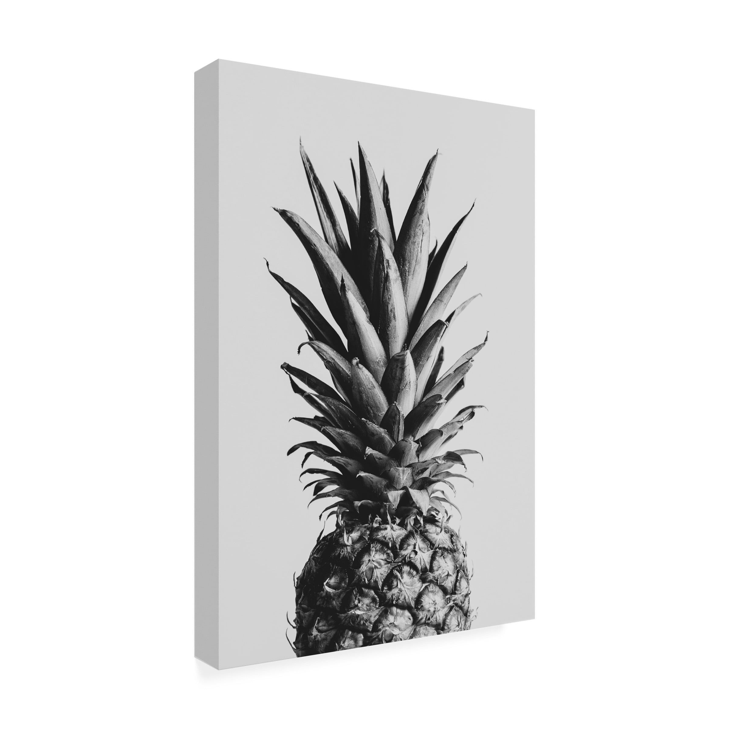 1X Studio Iii 'Pineapple Black A White 02' Canvas Art