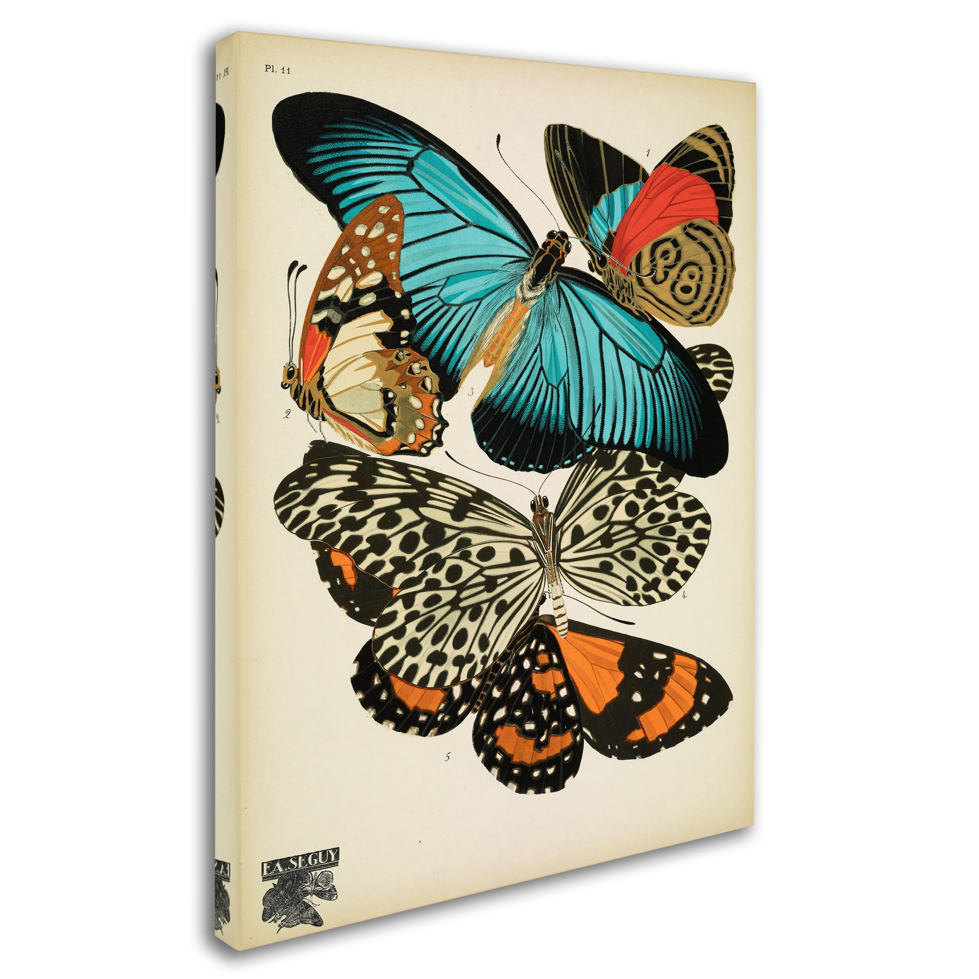 Trademark Fine Art 'Papillons 11' Canvas Art by Vintage Apple Collection