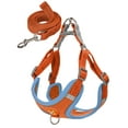 thumbnail image 2 of Luxtrada No Pull Dog Harness and Leash Set Adjustable Reflective Pet Vest Harness for Small Medium Dogs (Orange,L), 2 of 9