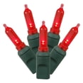 thumbnail image 2 of Vickerman 100 Red Italian LED Single Mold Light, Green Wire, 34' Christmas Light Strand, 2 of 2
