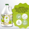thumbnail image 3 of MADLUVV Kit de plantillas para cejas - Aspecto natural fácil de usar 6 formas populares utilizadas por profesionales - Incluye carrete de plantillas para sellos y bolsa de viaje (rubio), 3 of 5