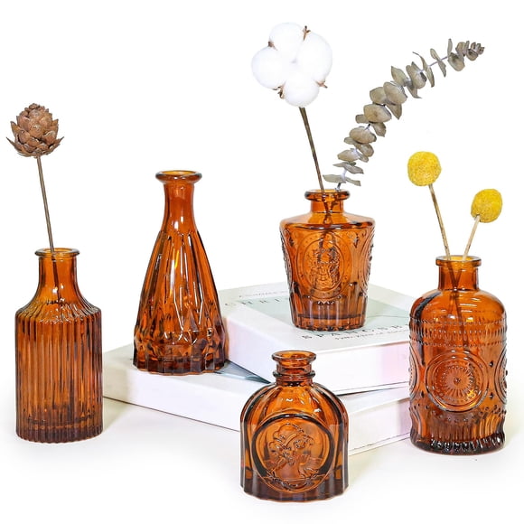 Set de jarrones Glass Bud SUPMIND Amber Vintage Style (paquete de 5)