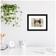 thumbnail image 7 of Amanti Art Hugo Hege Cat and Butterfly Wood Framed Wall Art Print, 7 of 7