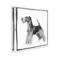 thumbnail image 4 of Stupell Industries Terrier Dog with Border Animals & Insects Painting Gallery Wrapped Canvas Art Print Wall Art, 30 x 30, 4 of 8