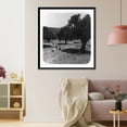 thumbnail image 3 of Historic Framed Print, Olive groves near Bethlehem, 17-7/8" x 21-7/8", 3 of 9