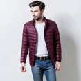 thumbnail image 3 of Parkas Abrigos Acolchados Masculinos Cremallera Chaqueta de Plumón para Hombre Acolchado Corto Ropa de Lujo Coreana Modelos de Invierno Ropa Casual Abrigada Moderna, 3 of 5