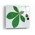 thumbnail image 1 of Epic Art 'Horse Chestnut' by Zigen Tanabe, Acrylic Glass Wall Art, 36"x36", 1 of 1