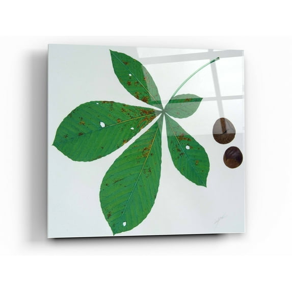 Epic Art 'Horse Chestnut' by Zigen Tanabe, Acrylic Glass Wall Art, 36"x36"