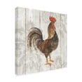 thumbnail image 2 of Trademark Fine Art 'Farm Friend Iii On Barn Board' Canvas Art by Albena Hristova, 2 of 3