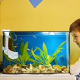 thumbnail image 2 of Juego de plato de alimentación YEJLMXG para camarones kit de tubo de alimentación de peces, 2 of 5