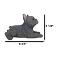 thumbnail image 3 of Realistic Lifelike Gray French Bulldog Puppy Sitting On Belly Figurine Frenchie, 3 of 9