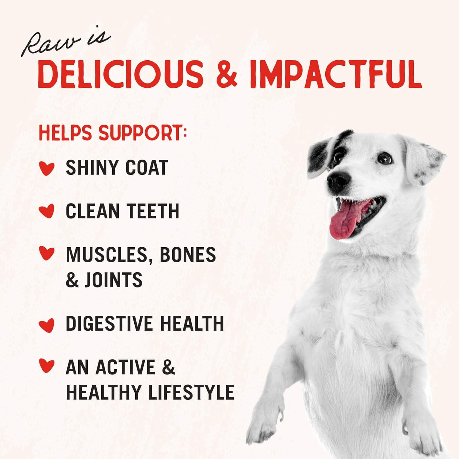 Stella & Chewy's Beef Heart Treats for Dogs - 3 Ounce Bag