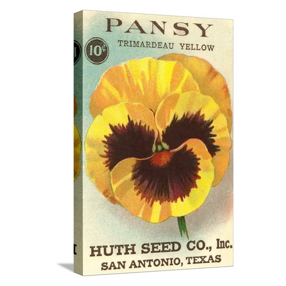 Art.com Pansy Seed Packet Stretched Canvas Print Wall Art, 12" x 18"