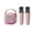 Pink, variant on Mini Karaoke Machine with 2 Wireless Microphones Voice Changer Stereo Sound Portable Bluetooth-compatible Portable Speaker with Light