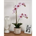 thumbnail image 2 of Home Accents 21-inch Artificial Real Touch Phalaenopsis Orchid Flower in Pot, Pink, 2 of 7