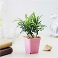 thumbnail image 3 of Plant Pots 10 Pcs Colorful Multi Square Nursery Flower Pots,Plastic Plant Pot with Nursery Pink, 3 of 6