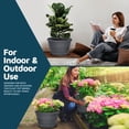 thumbnail image 3 of Whiskey Barrel Planters Lifemaster 10-Pack 25cm Plastic, 3 of 7