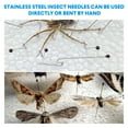 300 Pcs Stainless Steel Insect Pins Specimen Pinning Collection Needles
