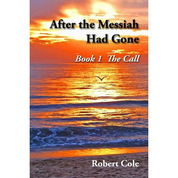 After the Messiah Had Gone (Paperback)