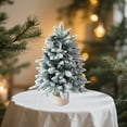 thumbnail image 6 of Wadada 18Inch Pre-lit Artificial Small Mini Christmas Tree with Warm White Multi-Color LED Lights, Remote Control and Timer, Perfect for Xmas Tabletop Decorations, Home, Kitchen, Dining Table, 6 of 7