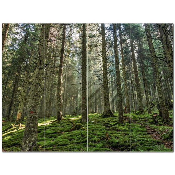 Trees Forest Ceramic Tile Mural Kitchen Backsplash Bathroom Shower 401706-XL43
