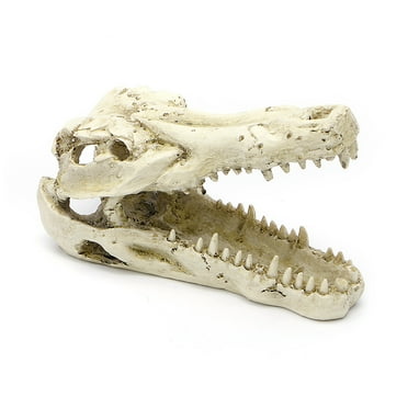 TONKBEEY Aquarium Resin Decoration Alligator Skull Decor Hideouts Betta Cave Fish Tank Accessories for Hermit Crab Guppy