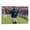 Frame-style, variant on Roberto Baggio Italy Athletes Poster Football Canvas Wall Art Poster Decorative Bedroom Modern Home Print Picture Artworks Posters 08x12inch(20x30cm)
