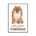 thumbnail image 1 of Pomeranian - Life is Better - White Background - Lantern Press Artwork (24x36 Framed Gallery Wrapped Stretched Canvas), 1 of 1