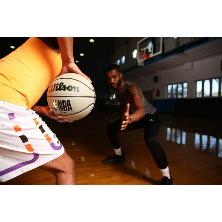 Minicanasta Wilson NBA Forge Pro ✓ Baloncesto