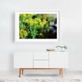 thumbnail image 2 of hello dill - Photography Botanical Floral Garden Nature Flowers Scenic White Framed Wall Art Print 16 x 24 inches, 2 of 3