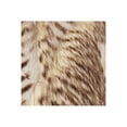 thumbnail image 3 of Plutus Porcupine Beige Faux Fur Luxury Throw Throw 36W x 60L, 3 of 3